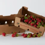 Strawberry Packing Boxes